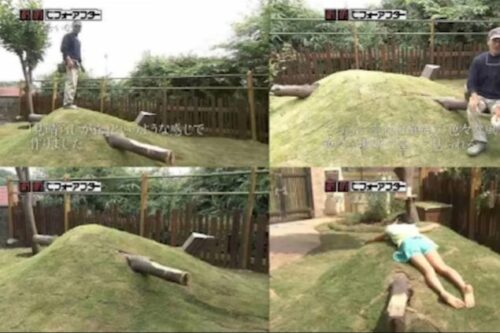 「劇的ビフォーアフター」のリフォーム失敗例とは? 不釣りあいな庭