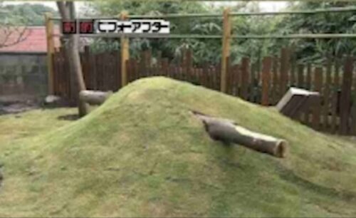 「劇的ビフォーアフター」のリフォーム失敗例とは? 不釣りあいな庭