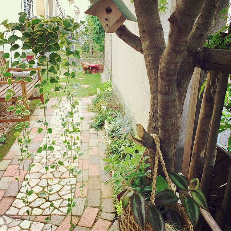 庭の目隠しは簡単にdiy出来る おしゃれな施工例とタープ活用法 インテリアまとめサイト Luv Interior