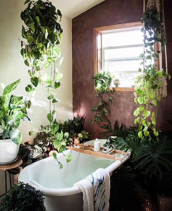 お風呂をグリーンで飾るインテリアが素敵 実例は インテリアまとめサイト Luv Interior