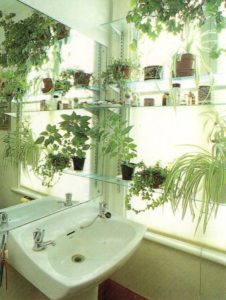 お風呂をグリーンで飾るインテリア例