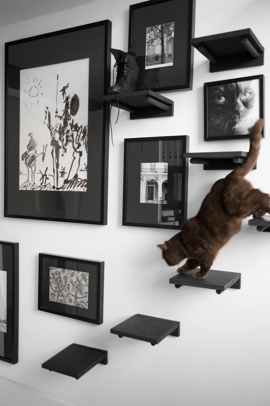 猫と暮らす部屋の作り方２０選 Diyとインテリアを工夫した部屋づくりとおしゃれ画像 インテリアまとめサイト Luv Interior