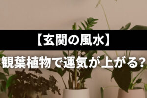 【玄関の風水】観葉植物で運気が上がる？置き場所やおすすめの小さめの種類は？