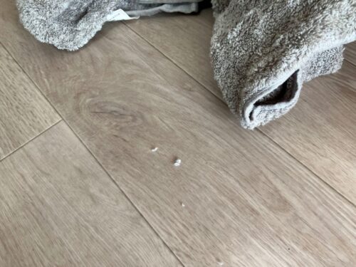 タオル研究所の「ほこり」は本当?結論から正直レビュー