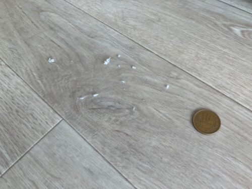 ネットの中にでてくるホコリ タオル研究所